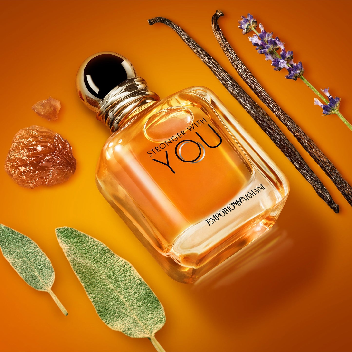 Stronger With You - EMPORIO ARMANI Eau de Toilette para hombre