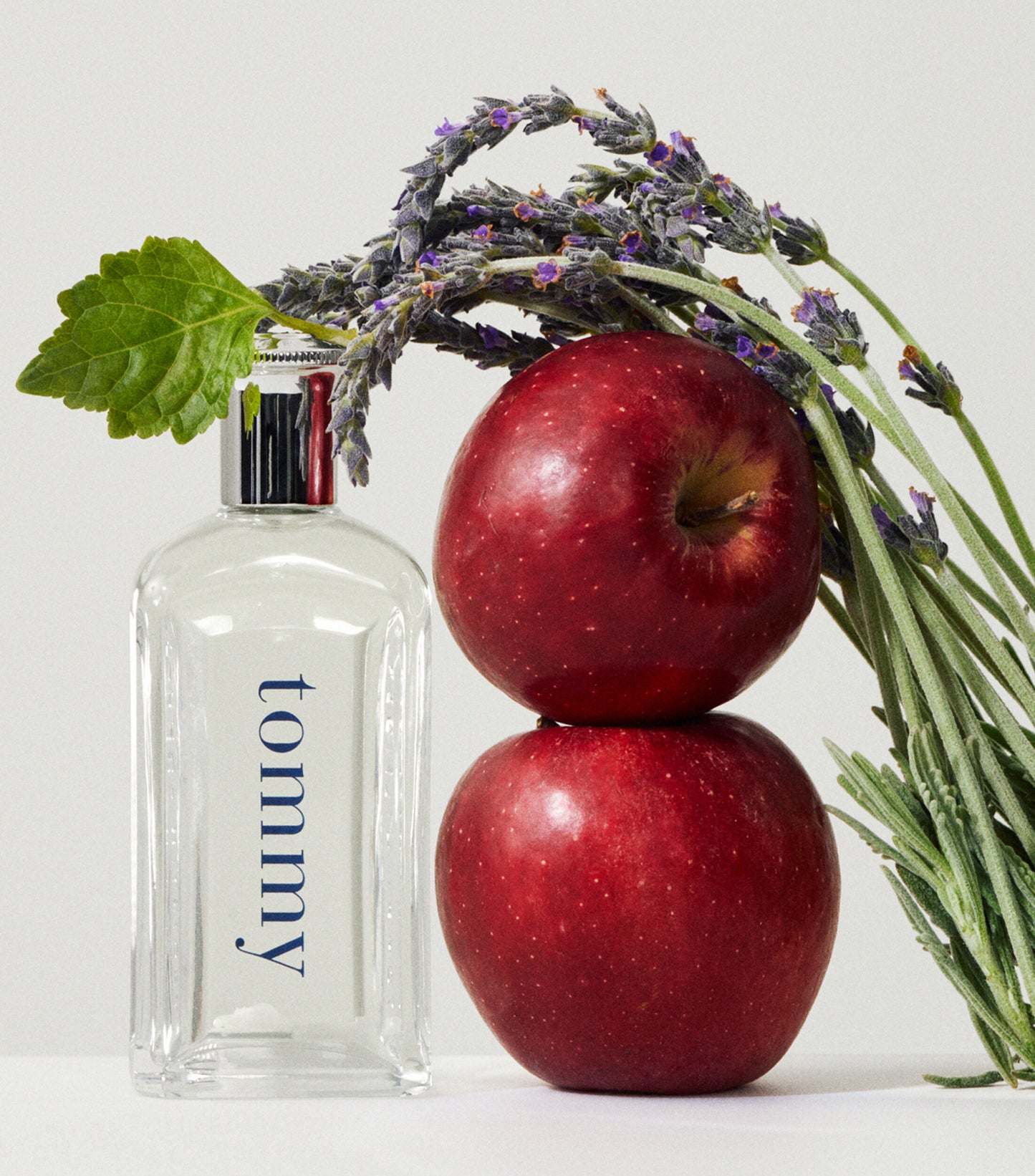 Tommy - TOMMY HILFIGER Eau de Toilette para hombre